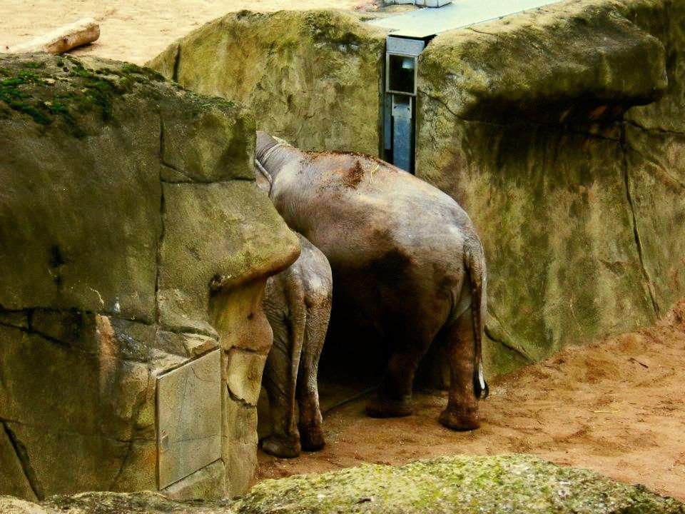 Umarmung :), Kölner Zoo