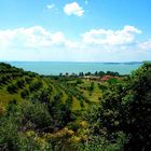 Umbiren - Lago Trasimeno