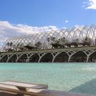 Umbracle