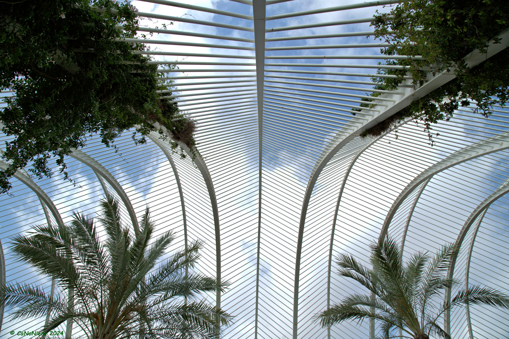 Umbracle mit Durchblick