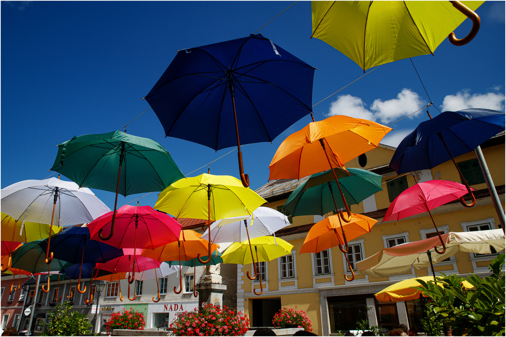 Umbrella