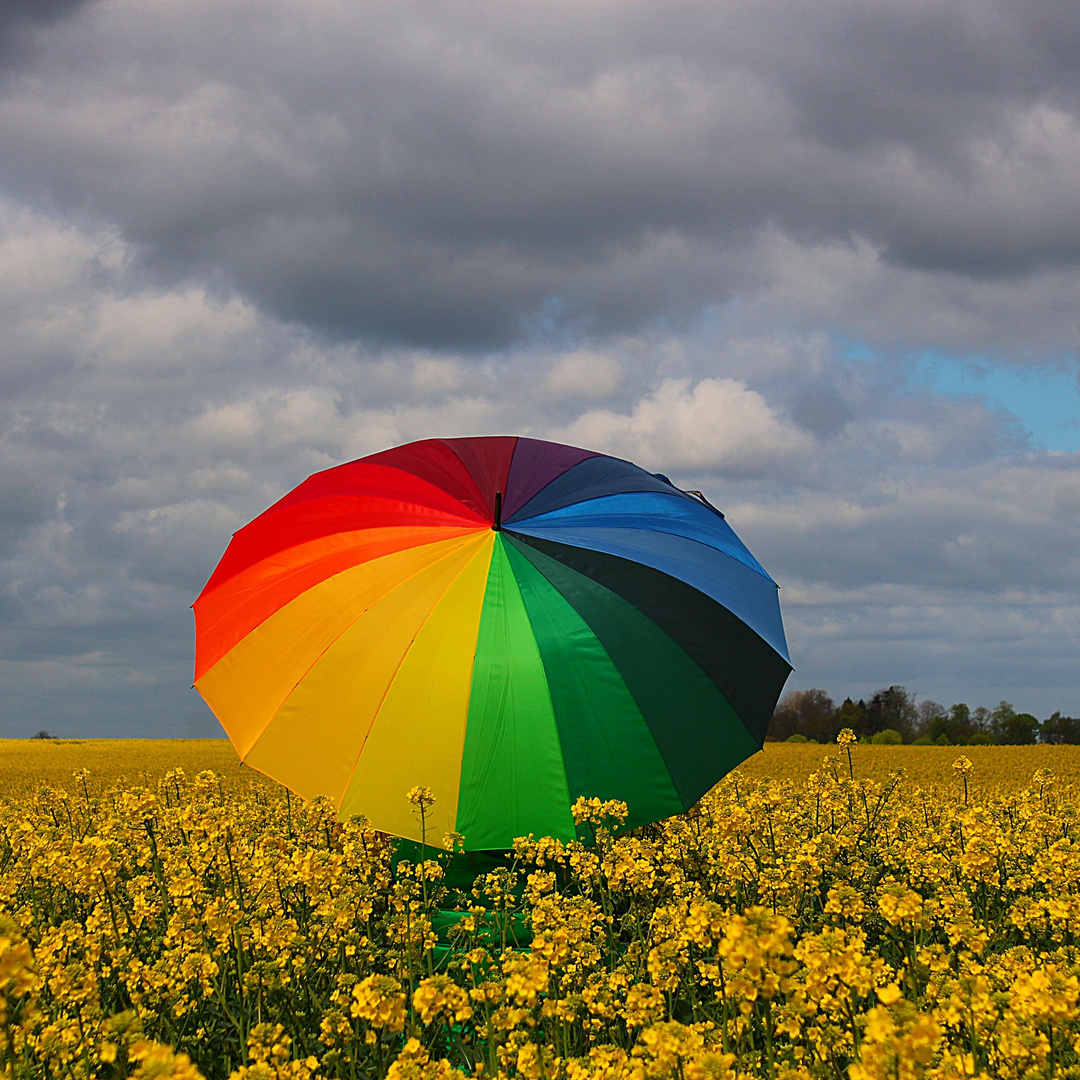 Umbrella