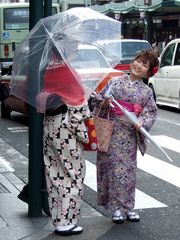 Umbrella