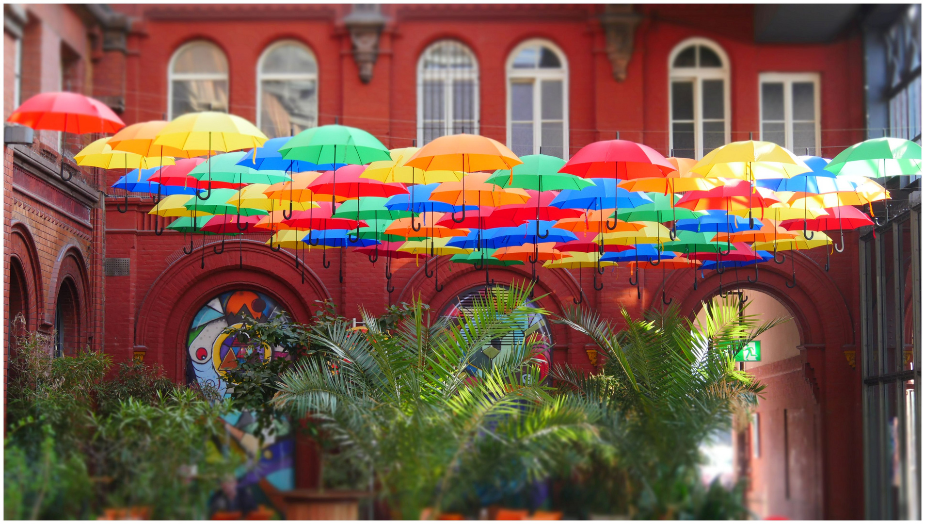 Umbrella Flashmob (I)