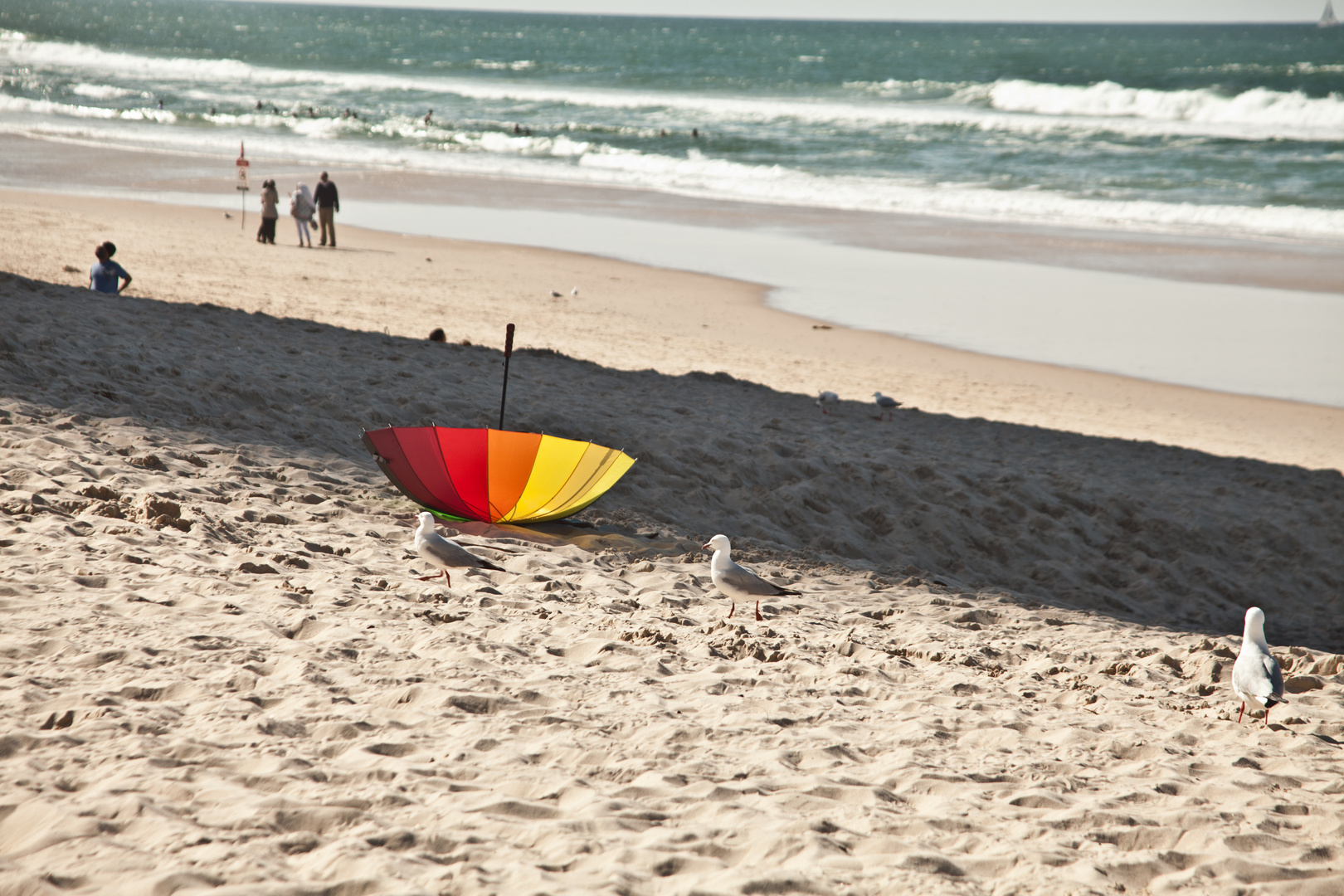 umbrella on the beach