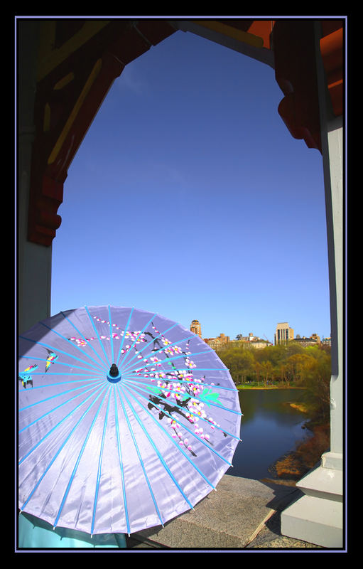 Umbrella Over Central Park