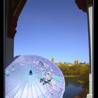 Umbrella Over Central Park