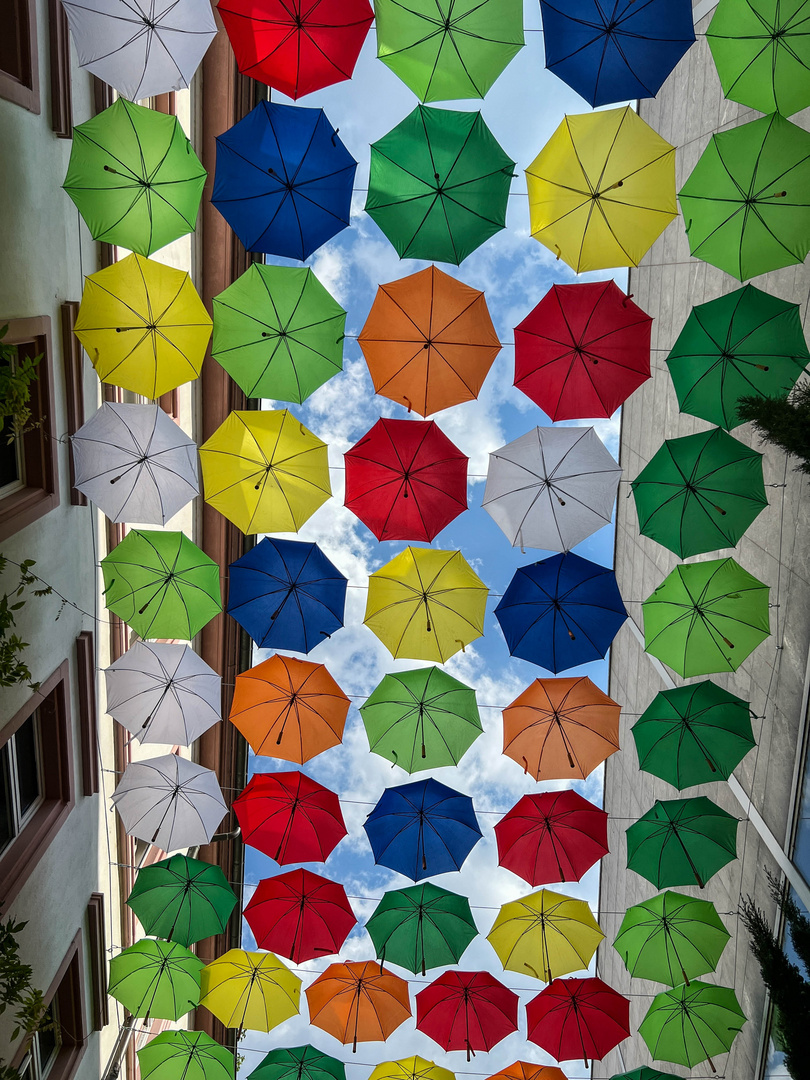 Umbrella Sky