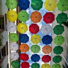 Umbrella Sky