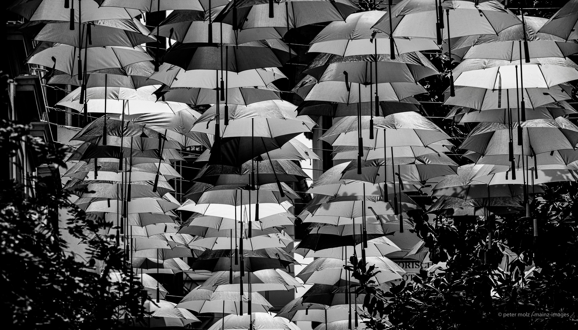 Umbrella Sky - Bei Regenwetter sind die Farben weg | Mainz