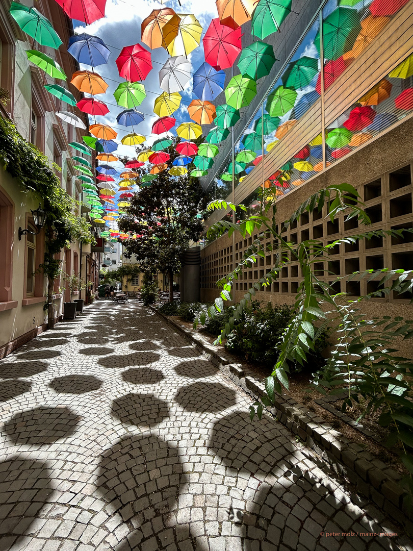 Umbrella-Sky im August | Mainz, Rotekopfgasse