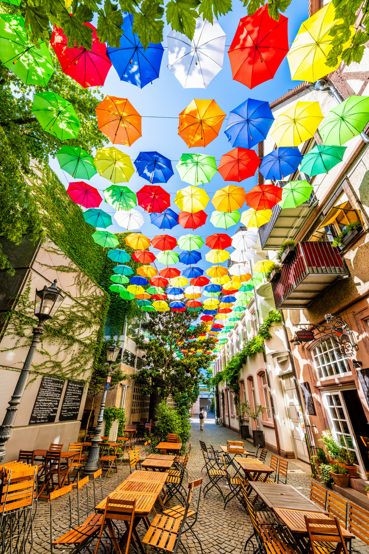 "Umbrella Sky" in Mainz 02