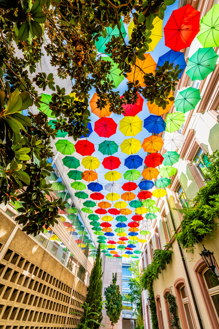 "Umbrella Sky" in Mainz 12