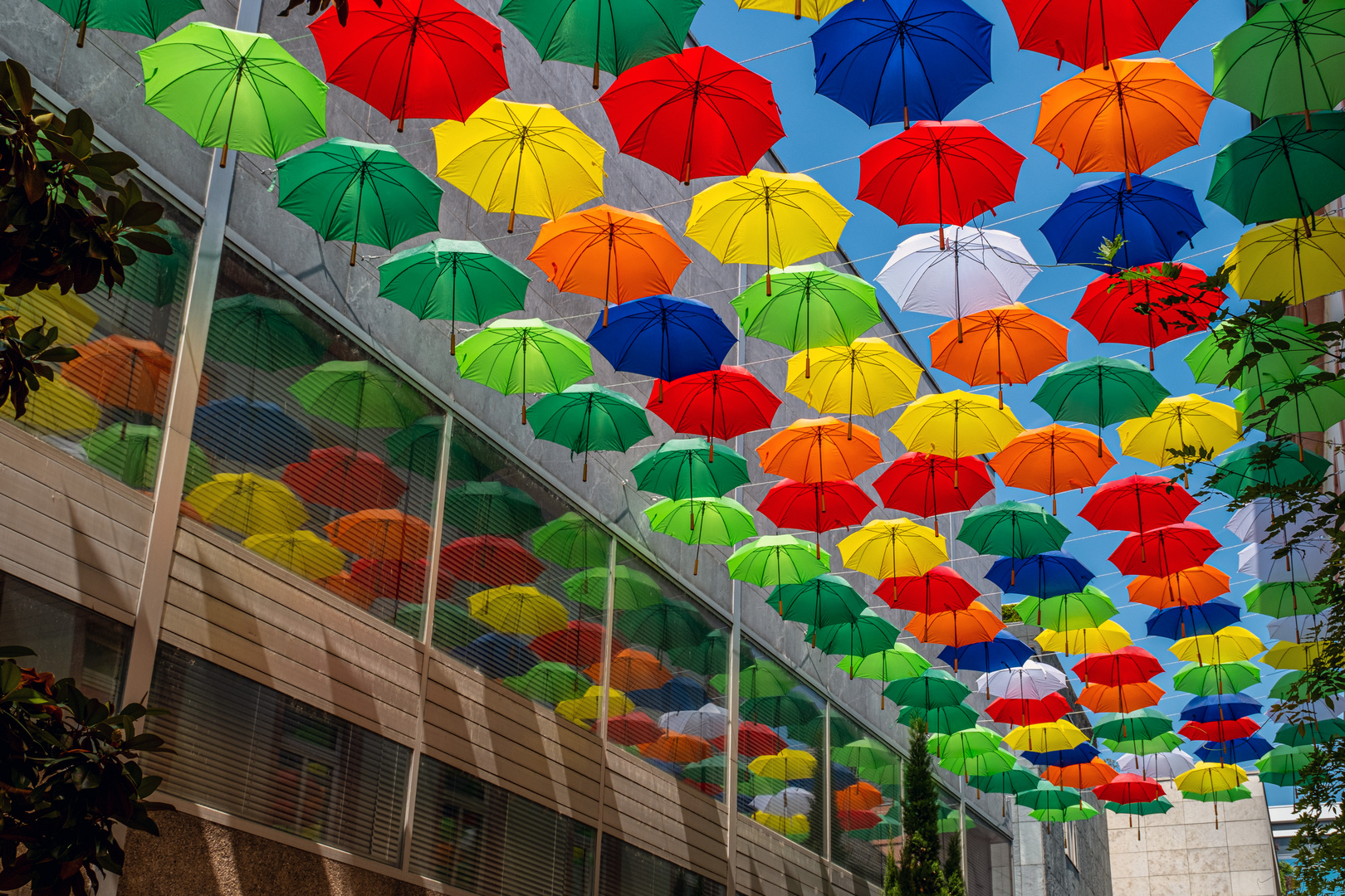 Umbrella Sky in Mainz