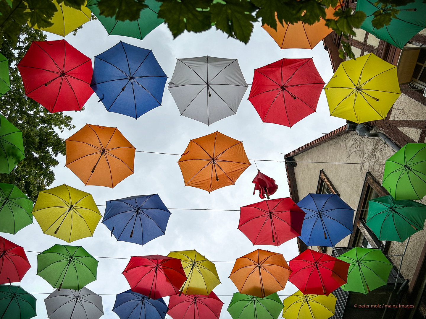 Umbrella Sky nach Windböen + Regen (2) | Mainz, Rotekopfgasse