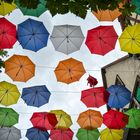 Umbrella Sky nach Windböen + Regen (2) | Mainz, Rotekopfgasse