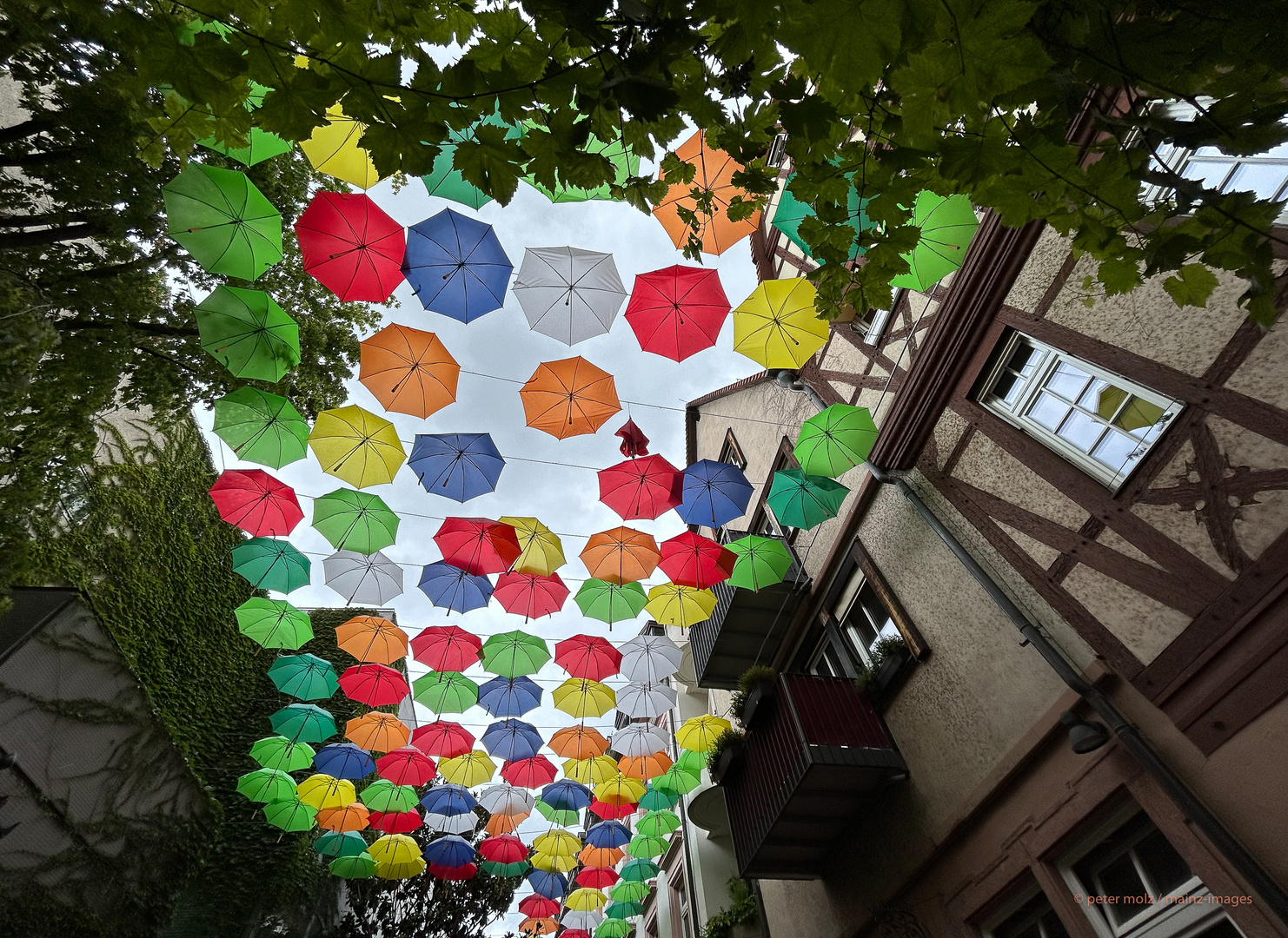 Umbrella Sky nach Windböen + Regen | Mainz, Rotekopfgasse