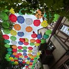 Umbrella Sky nach Windböen + Regen | Mainz, Rotekopfgasse