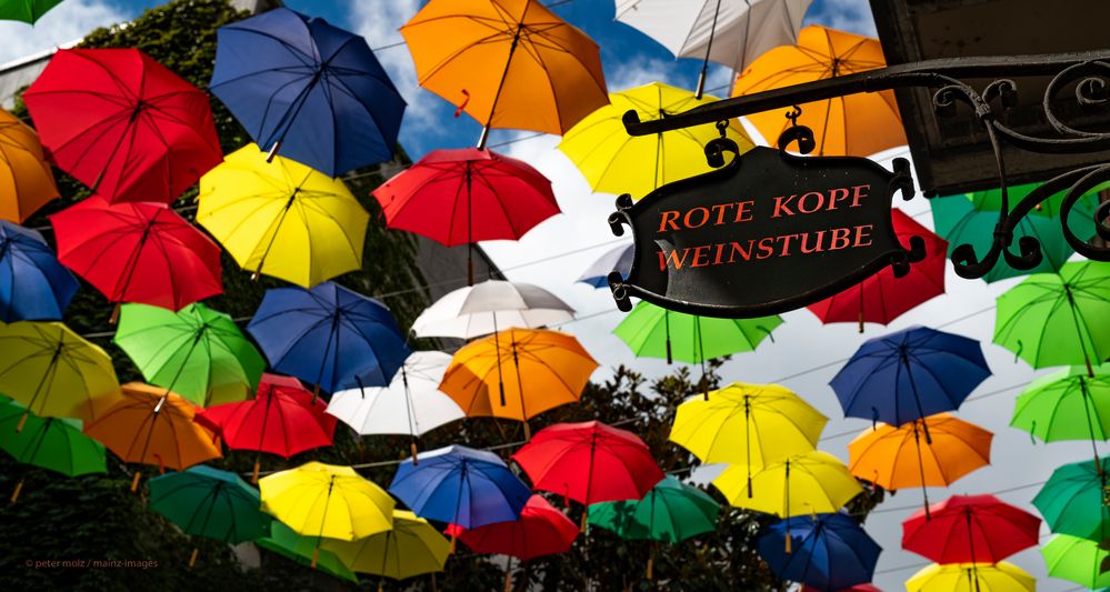 Umbrella Sky Projekt und Rote Kopf Weinstube | Mainz