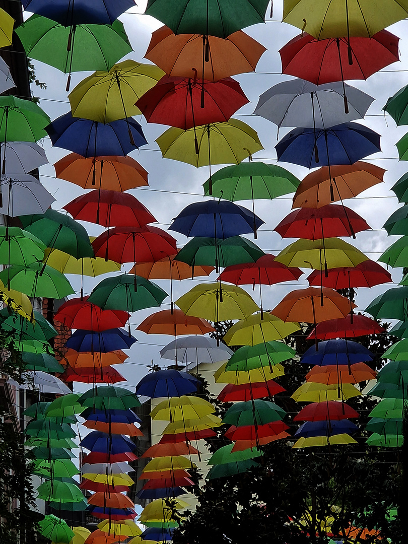 UMBRELLA SKY - Regenschirme