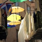 Umbrella street 4