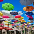 Umbrella Street