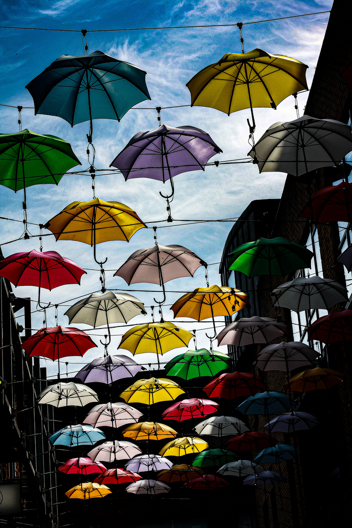 Umbrella Street, Dublin