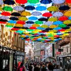 umbrellabrno.pixoY