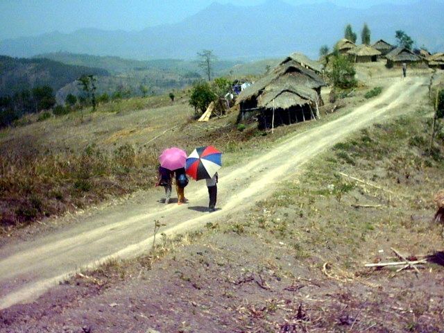 Umbrellas