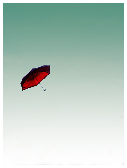 Umbrella's Flight.