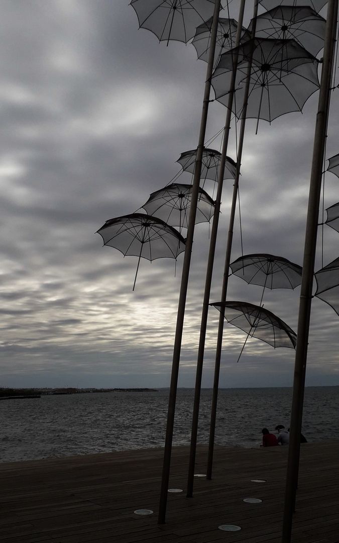 Umbrellas in grayscale: where droplets turn to silver, and skies merge with streets.