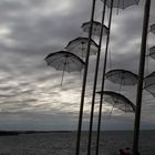 Umbrellas in grayscale: where droplets turn to silver, and skies merge with streets.