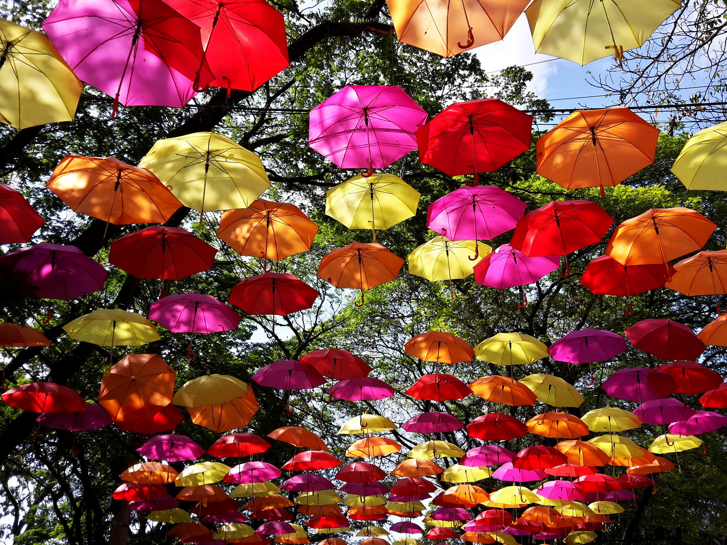 Umbrellas in the Sky