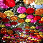 Umbrellas in the Sky