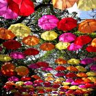 Umbrellas in the Sky