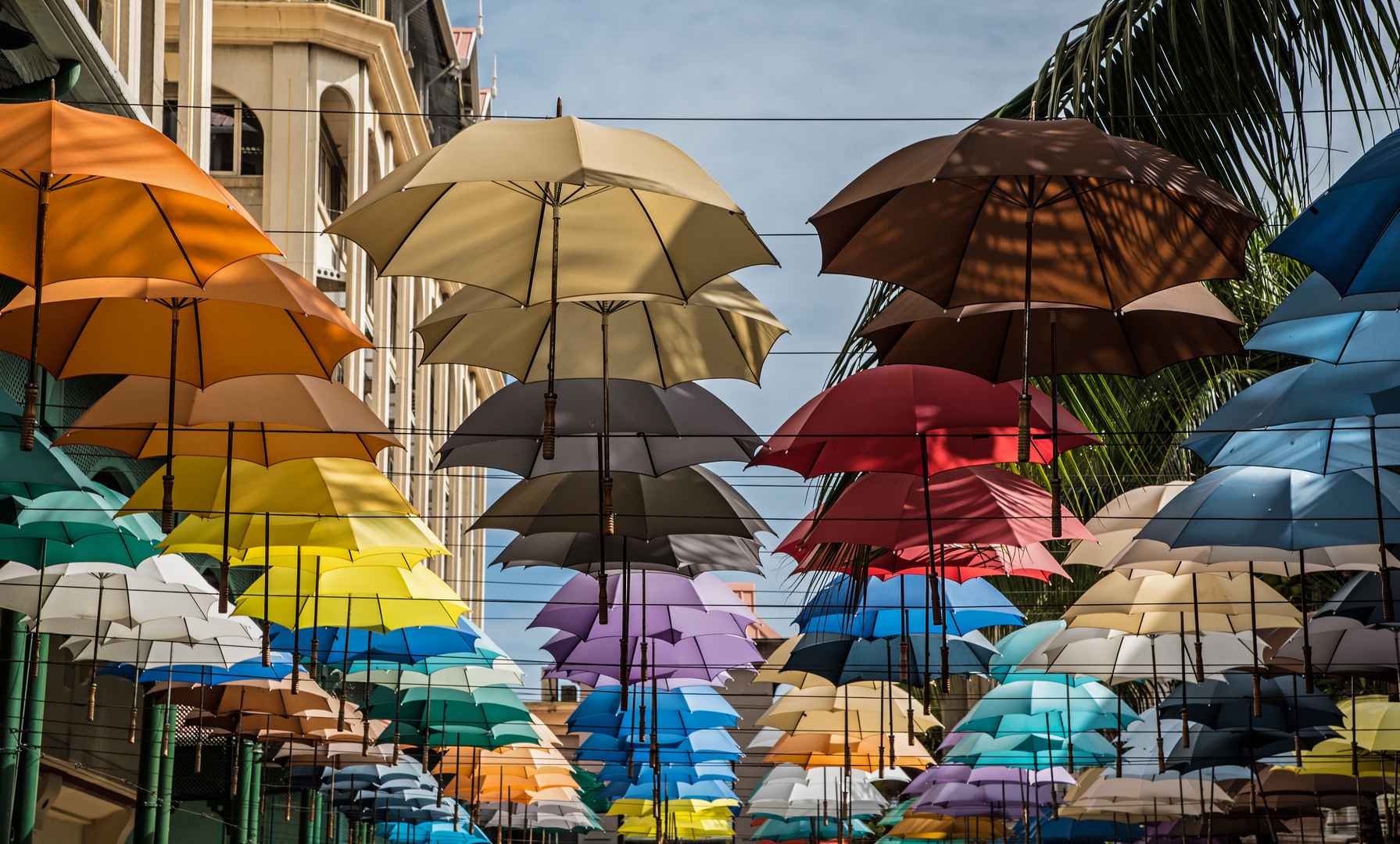 Umbrellastreet