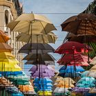 Umbrellastreet