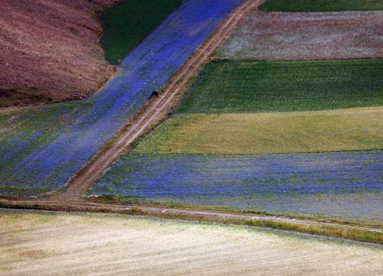 Umbria colors