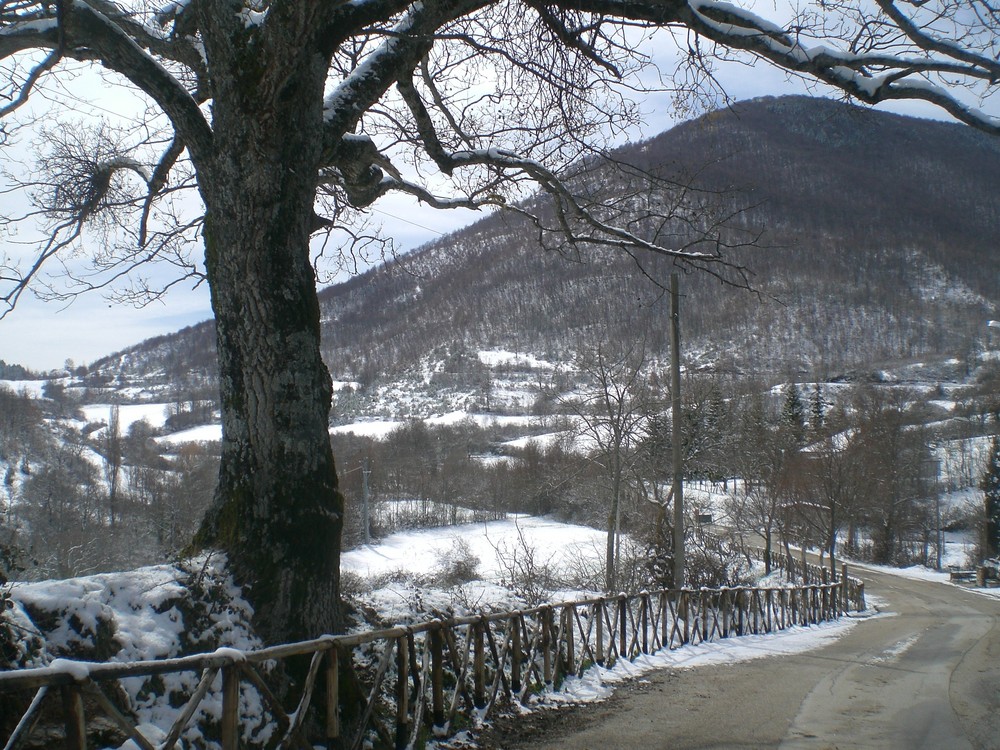 umbria d'inverno