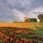 Umbria: In campagna