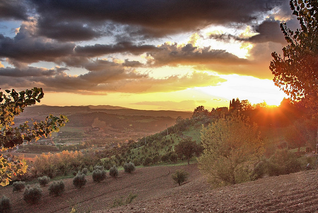 Umbria - Todi