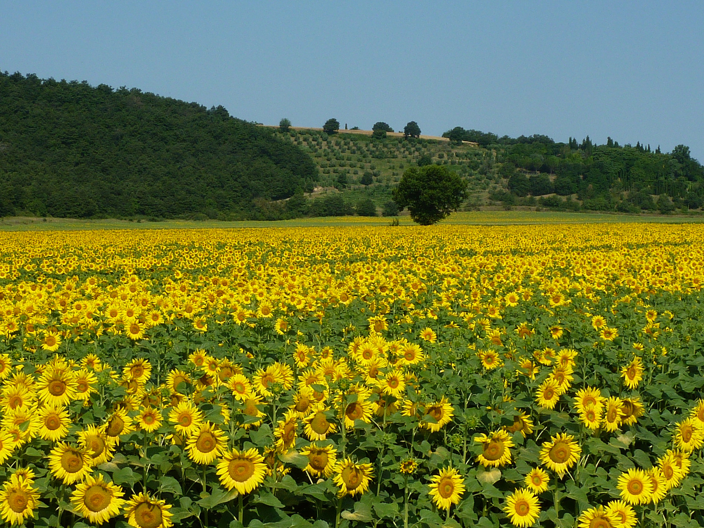 Umbrien Foto & Bild europe, italy, vatican city, s marino, italy