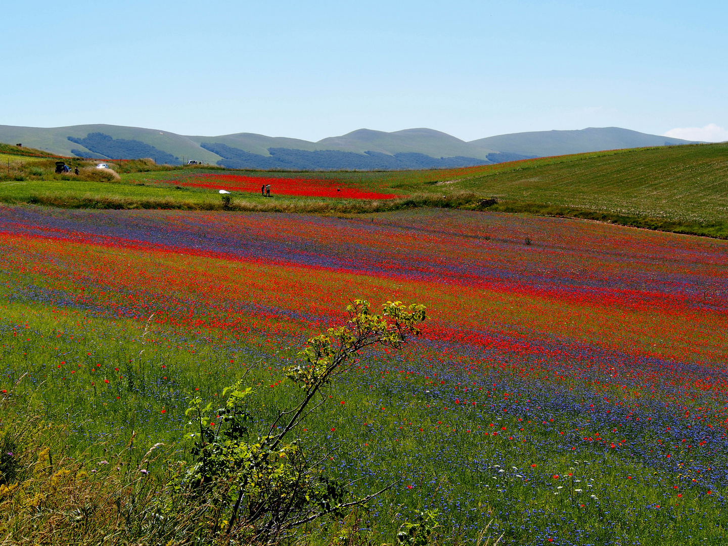 Umbrien Castelluccio