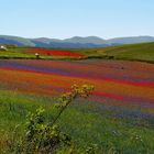 Umbrien Castelluccio