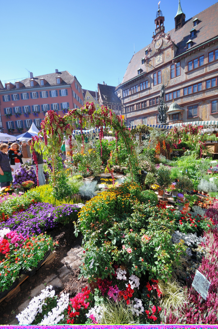 Umbrisch-Provencialischer Markt in Tübingen