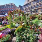 Umbrisch-Provencialischer Markt in Tübingen