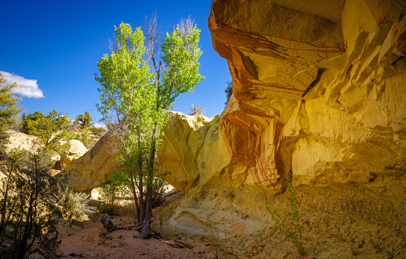 Umdrehen ... zur Natural Bridge