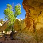 Umdrehen ... zur Natural Bridge