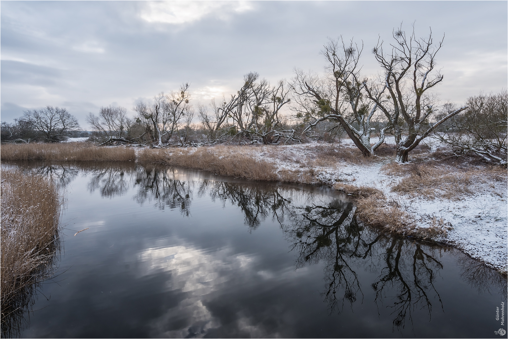 Umflutkanal der Elbe zwischen Elbenau und Plötzky