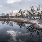 Umflutkanal der Elbe zwischen Elbenau und Plötzky